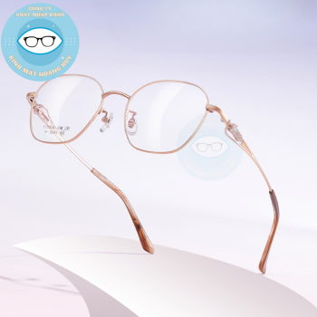 Gọng kim loại mã 6295